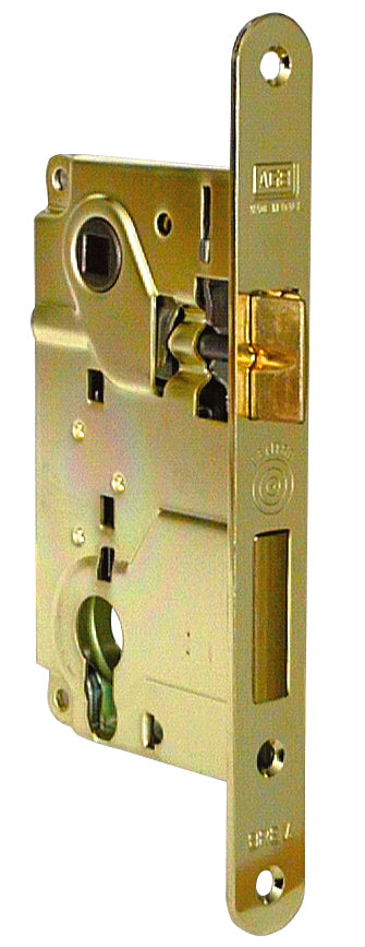 40251419