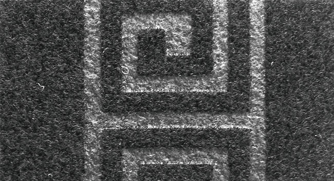37538032
