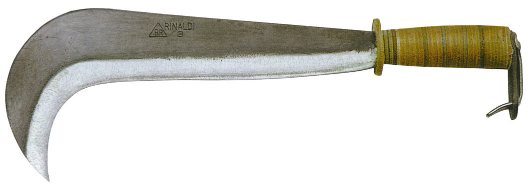 37373105