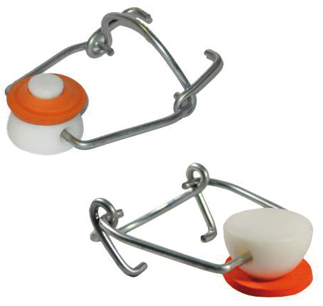 36509839