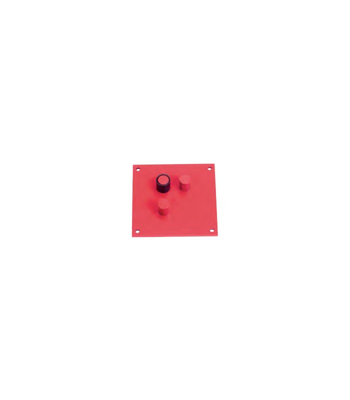 45905173