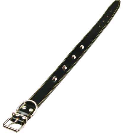 COLLARE PER CANI FODERATO CON BORCHIE 40x650 mm