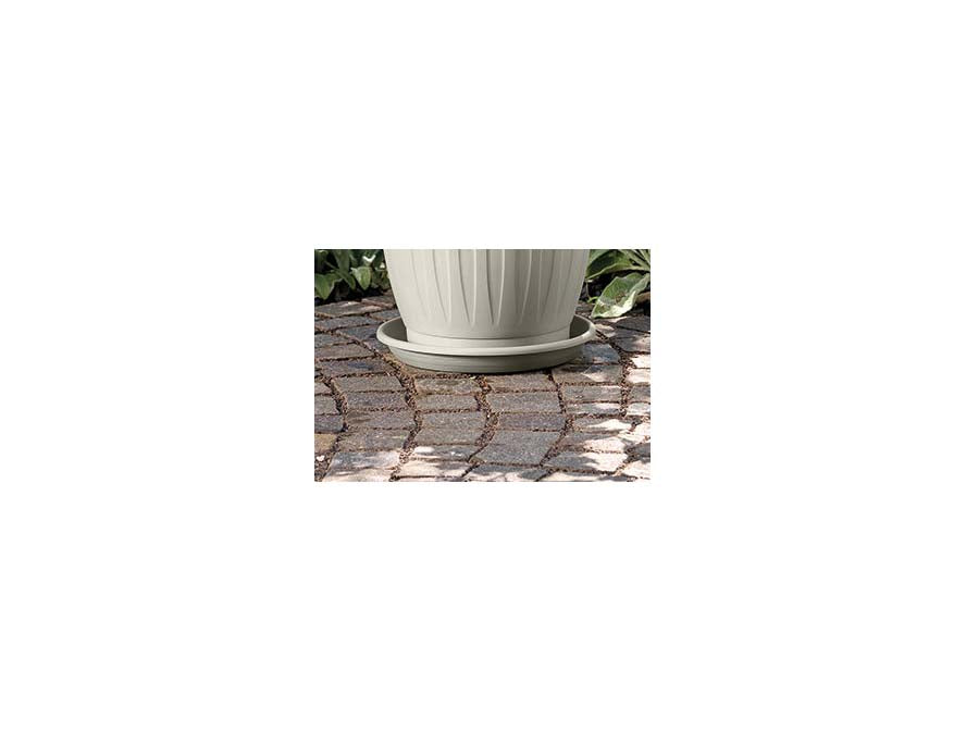 45273219
