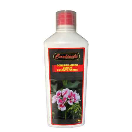 45273691