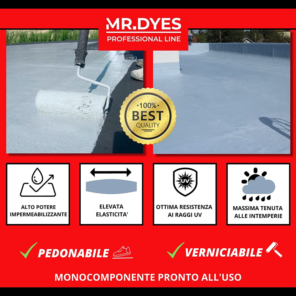 MR.DYES - GUAINA LIQUIDA IMPERMEABILIZZANTE