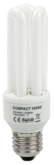 40240047