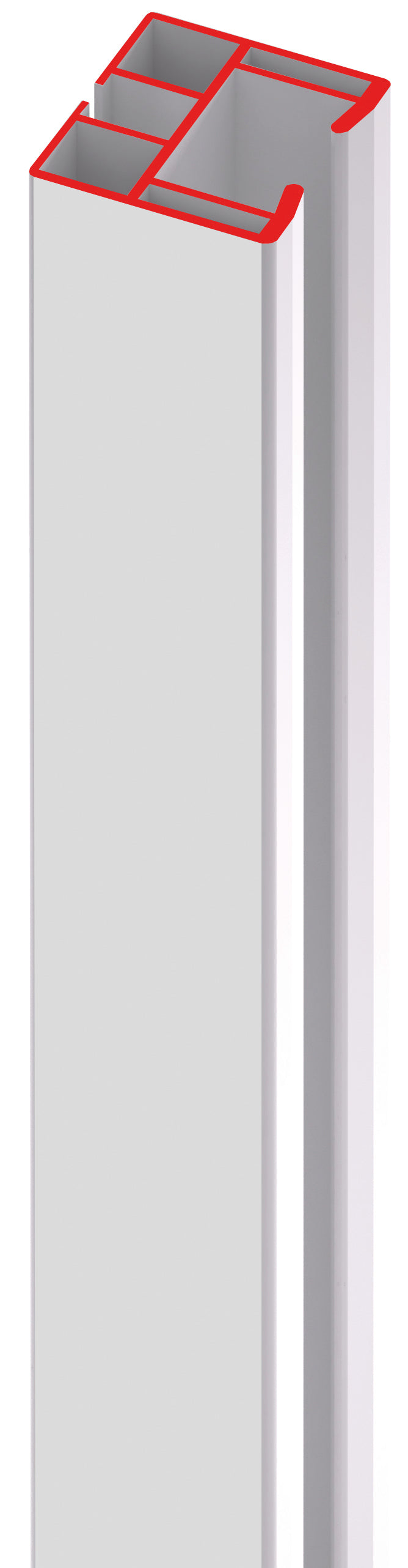 40240556