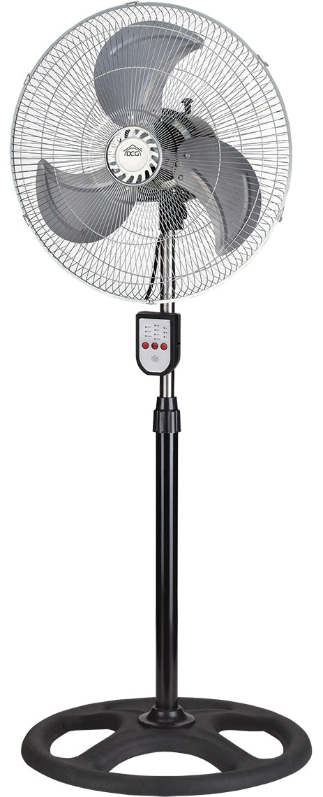 38679081
