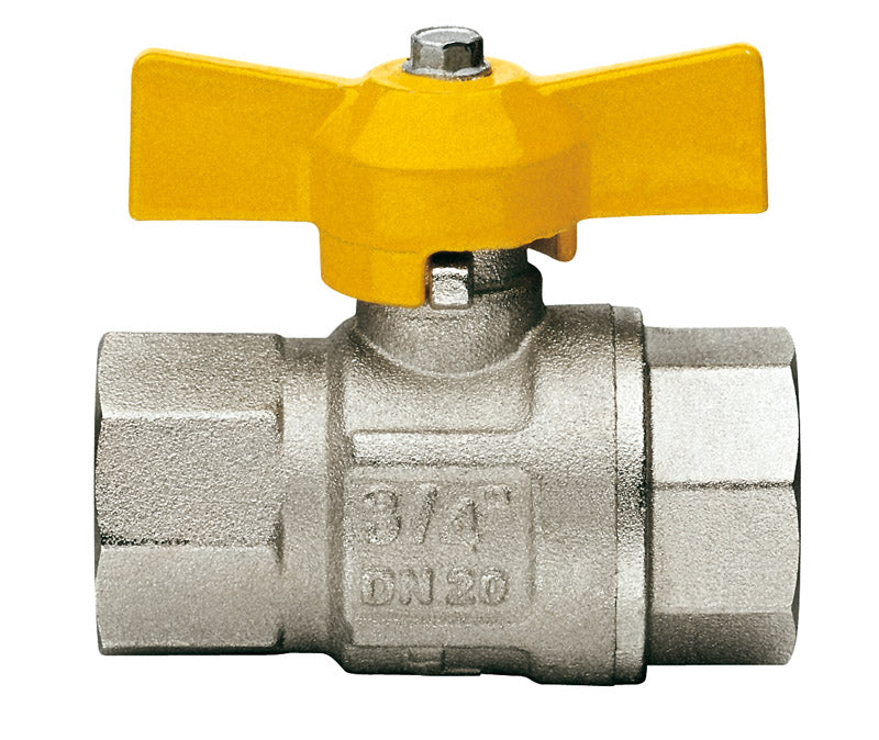37669018