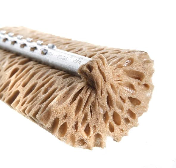 37373064