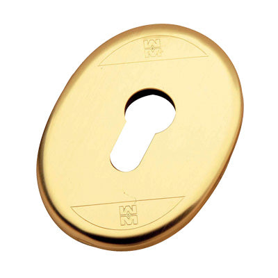 45913592
