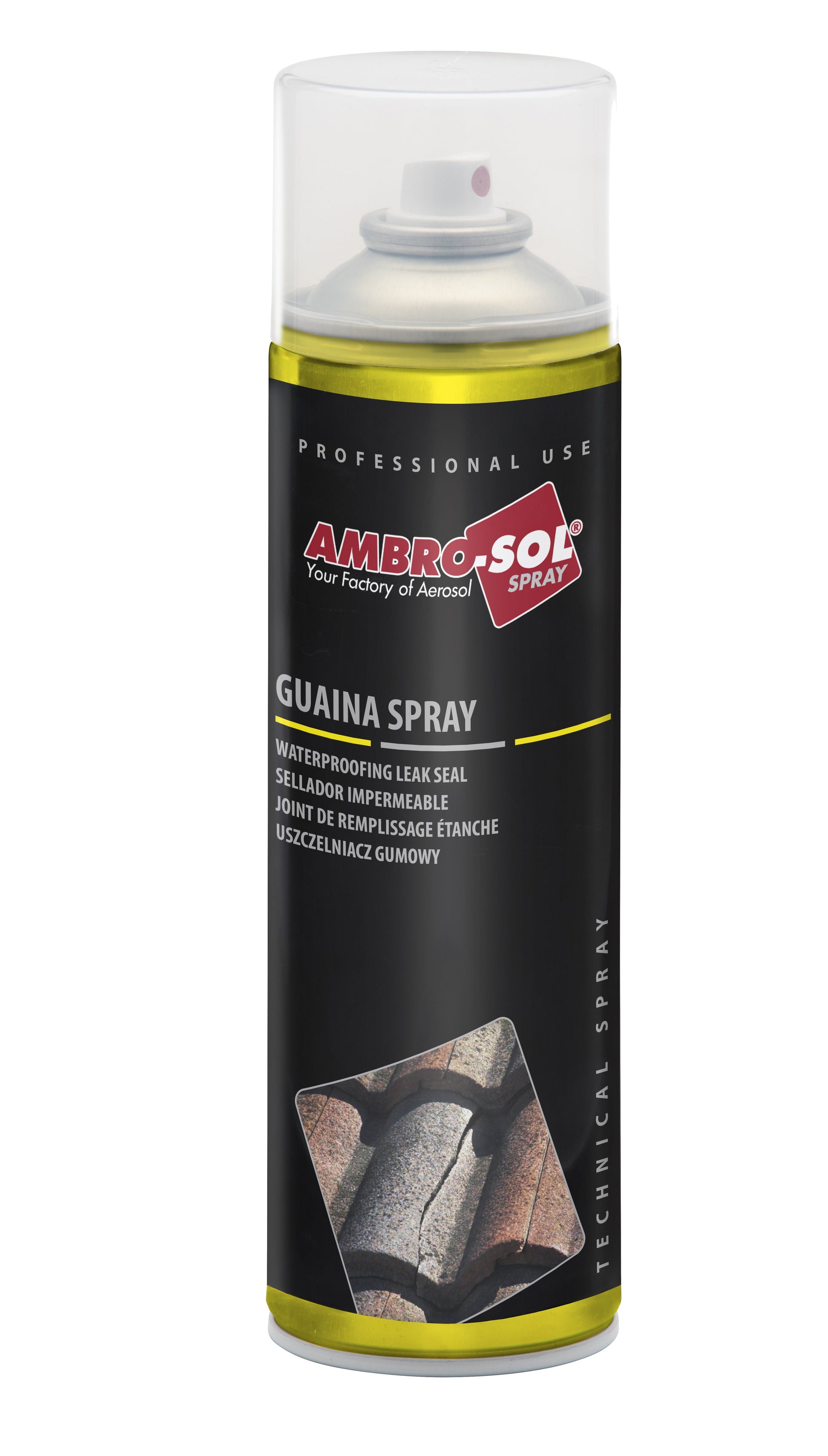 45896407