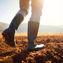45873203