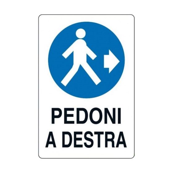 45872337