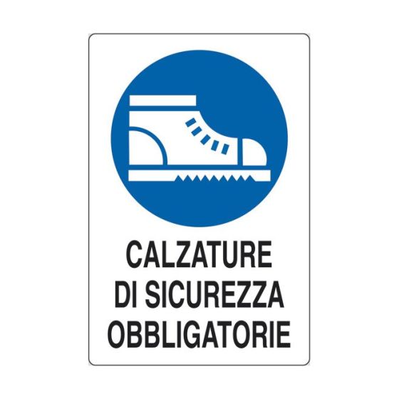 45872329