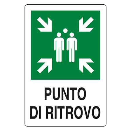 45872357
