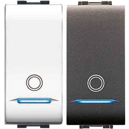 45592541