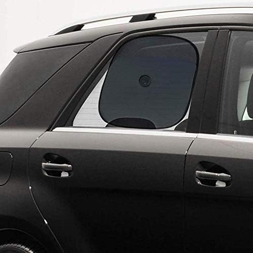 45301216