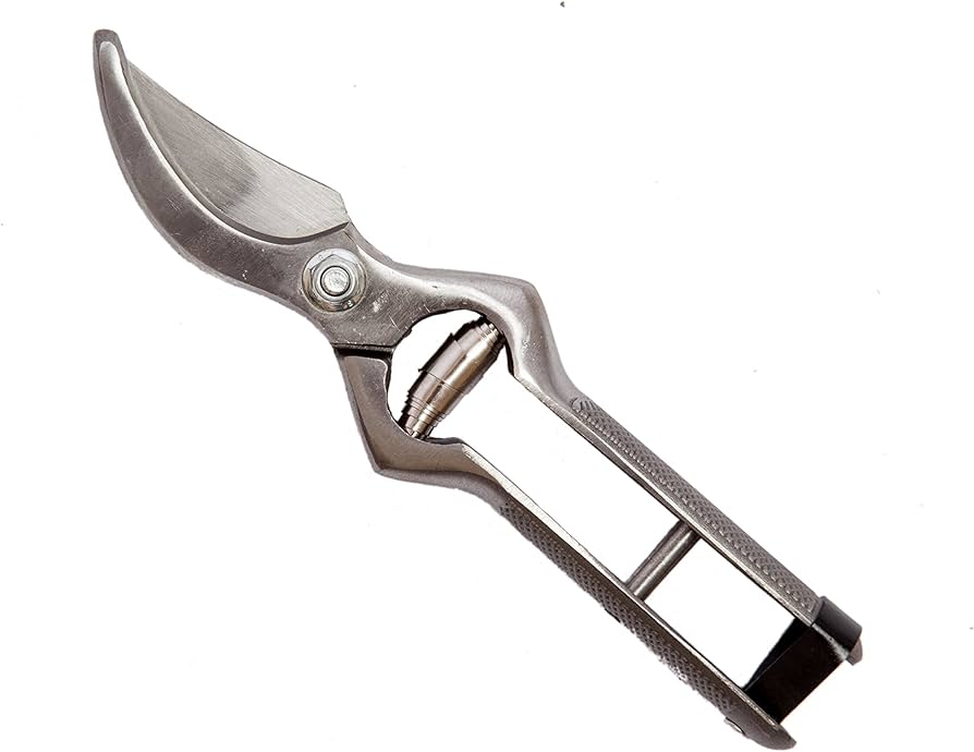 45295074