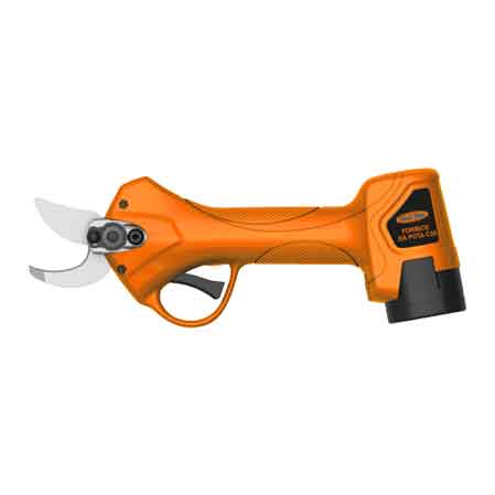45295192