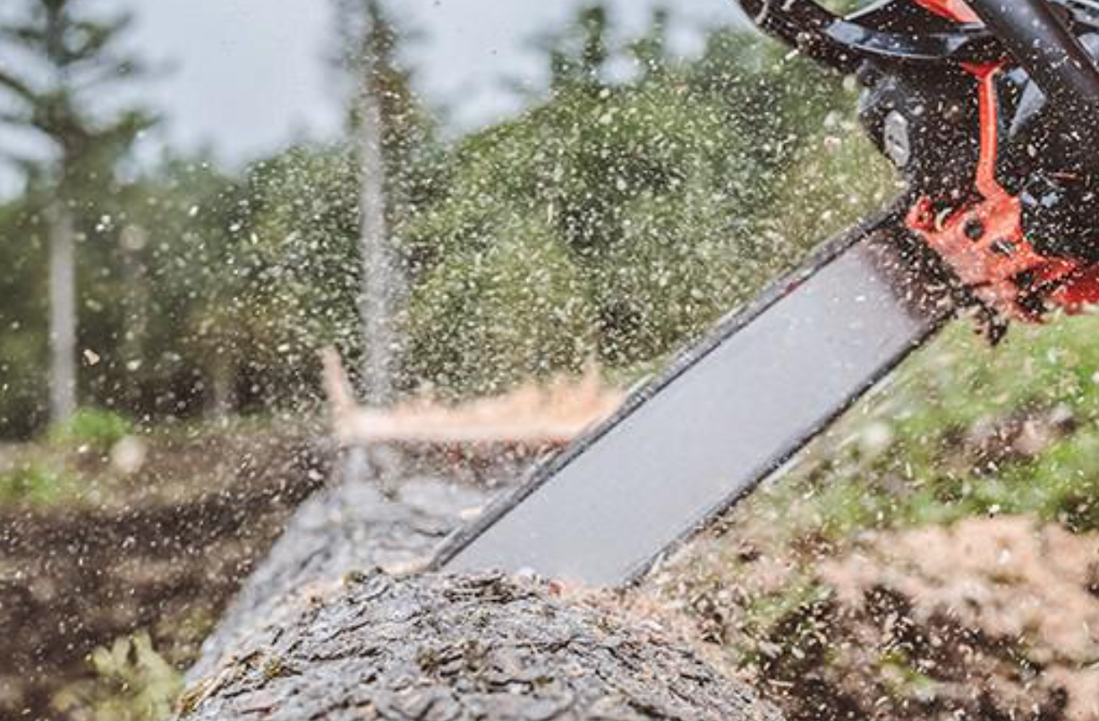 45295616