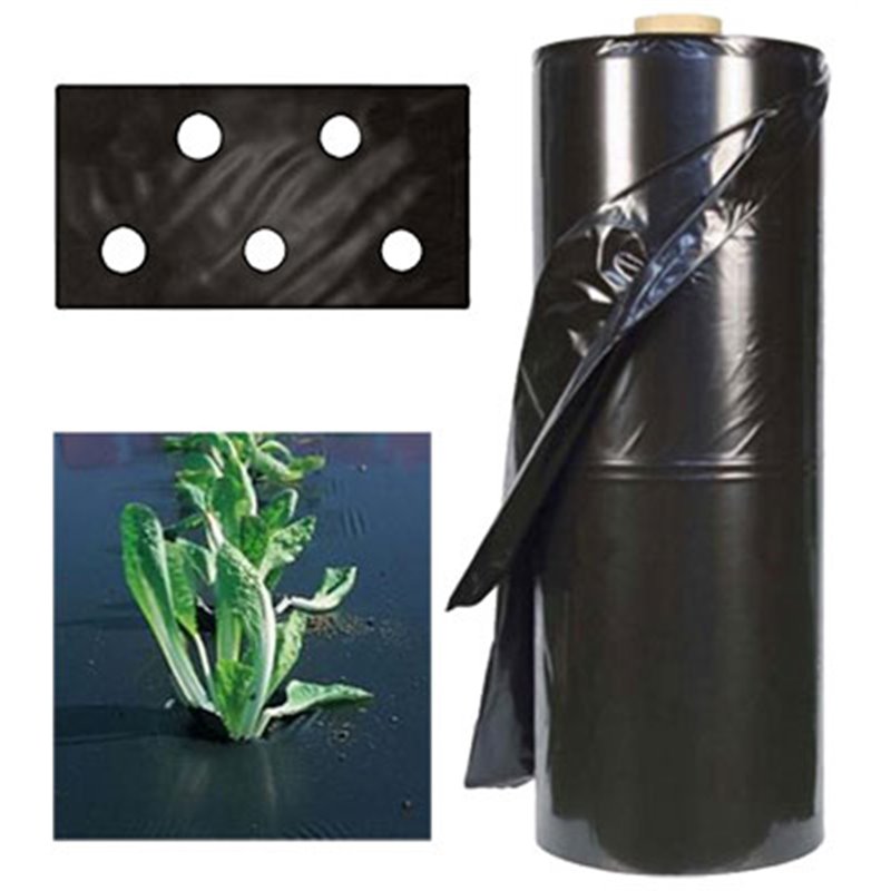 45282063