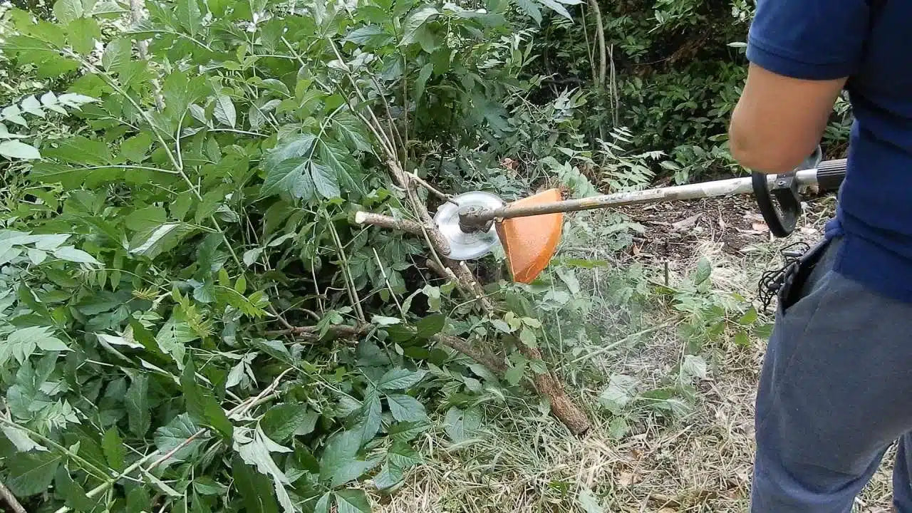 45272844