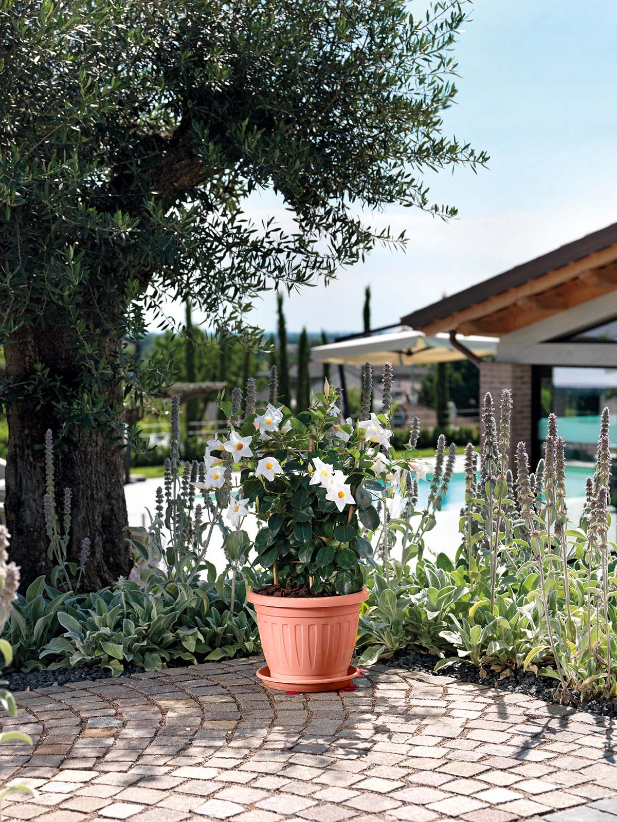 45273106