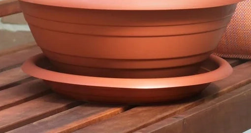 45273386