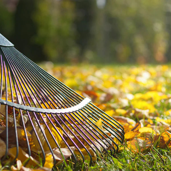 45273653
